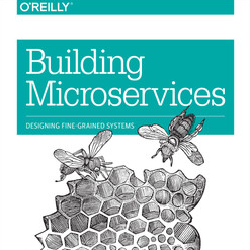 Box art for Building Microservices